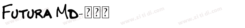 Futura Md字体转换